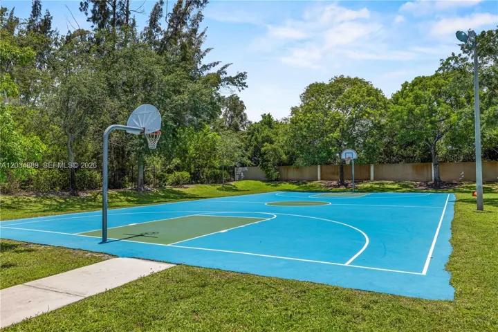 Basketball Court