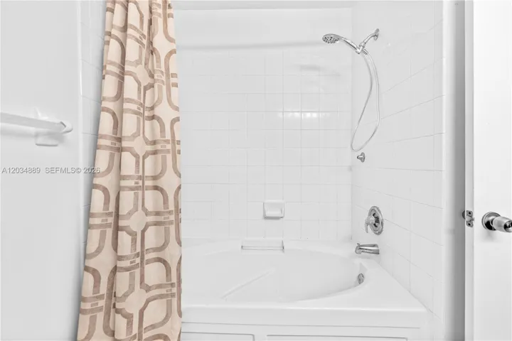 Main bathroom tub/shower combo