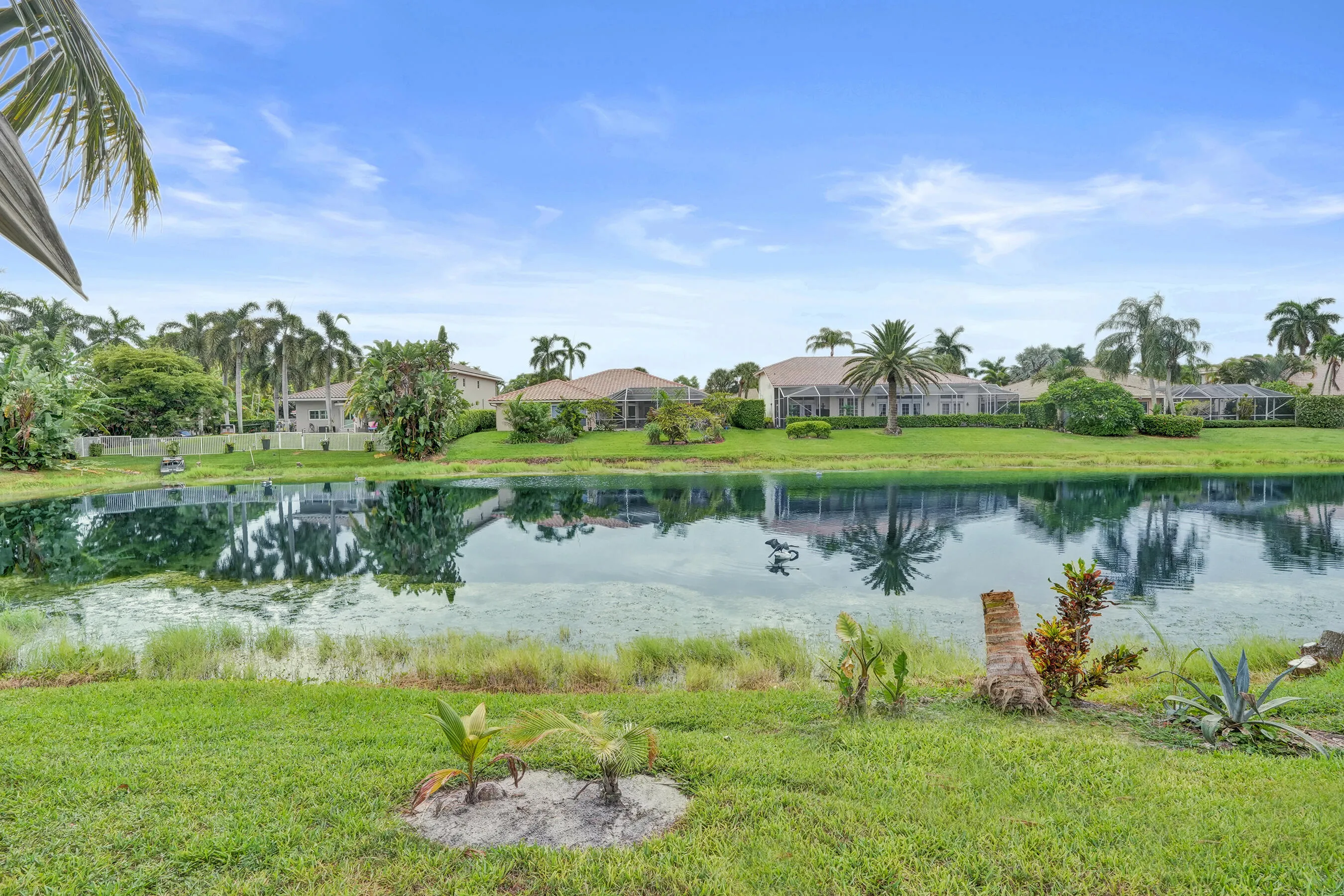 water view