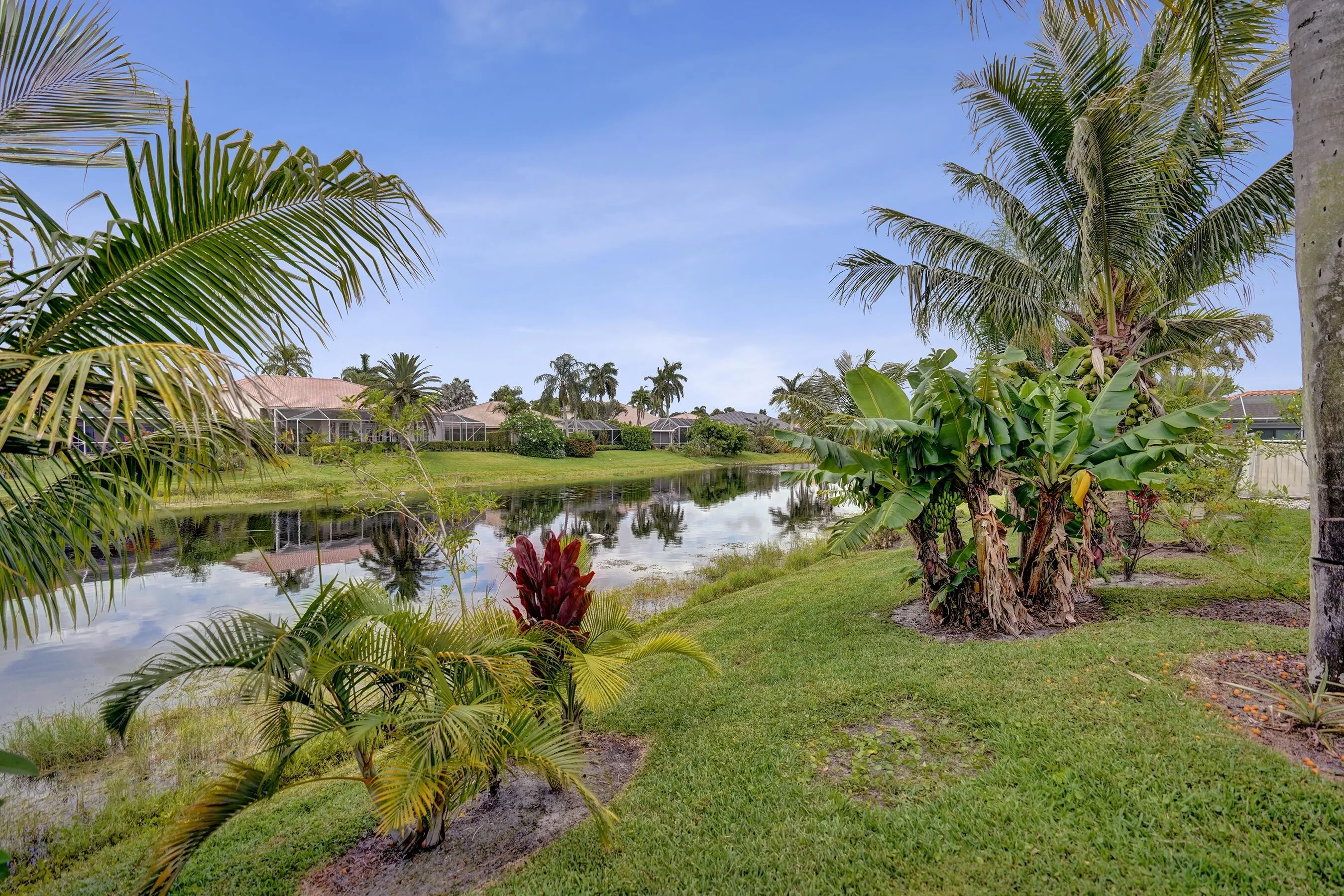 yard_back1