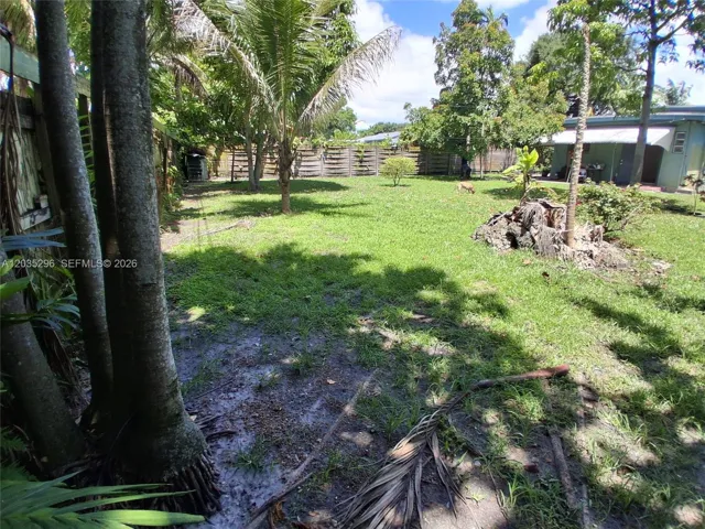 Photo 46