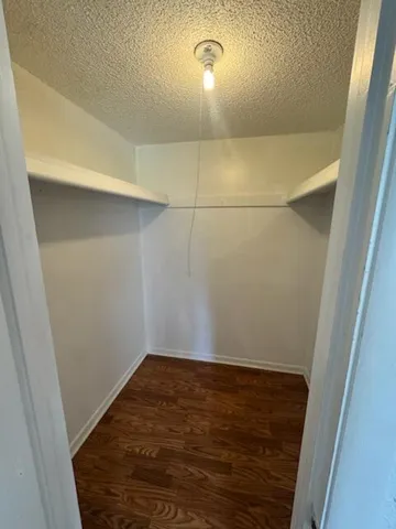 pic4