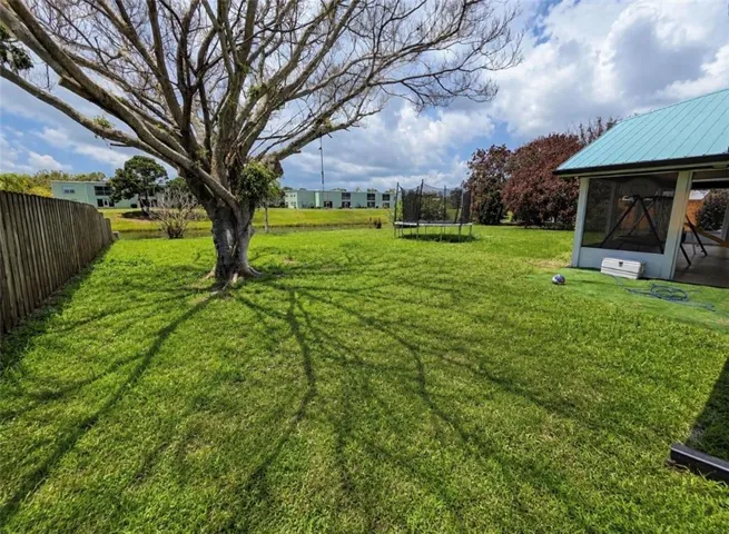 back yard