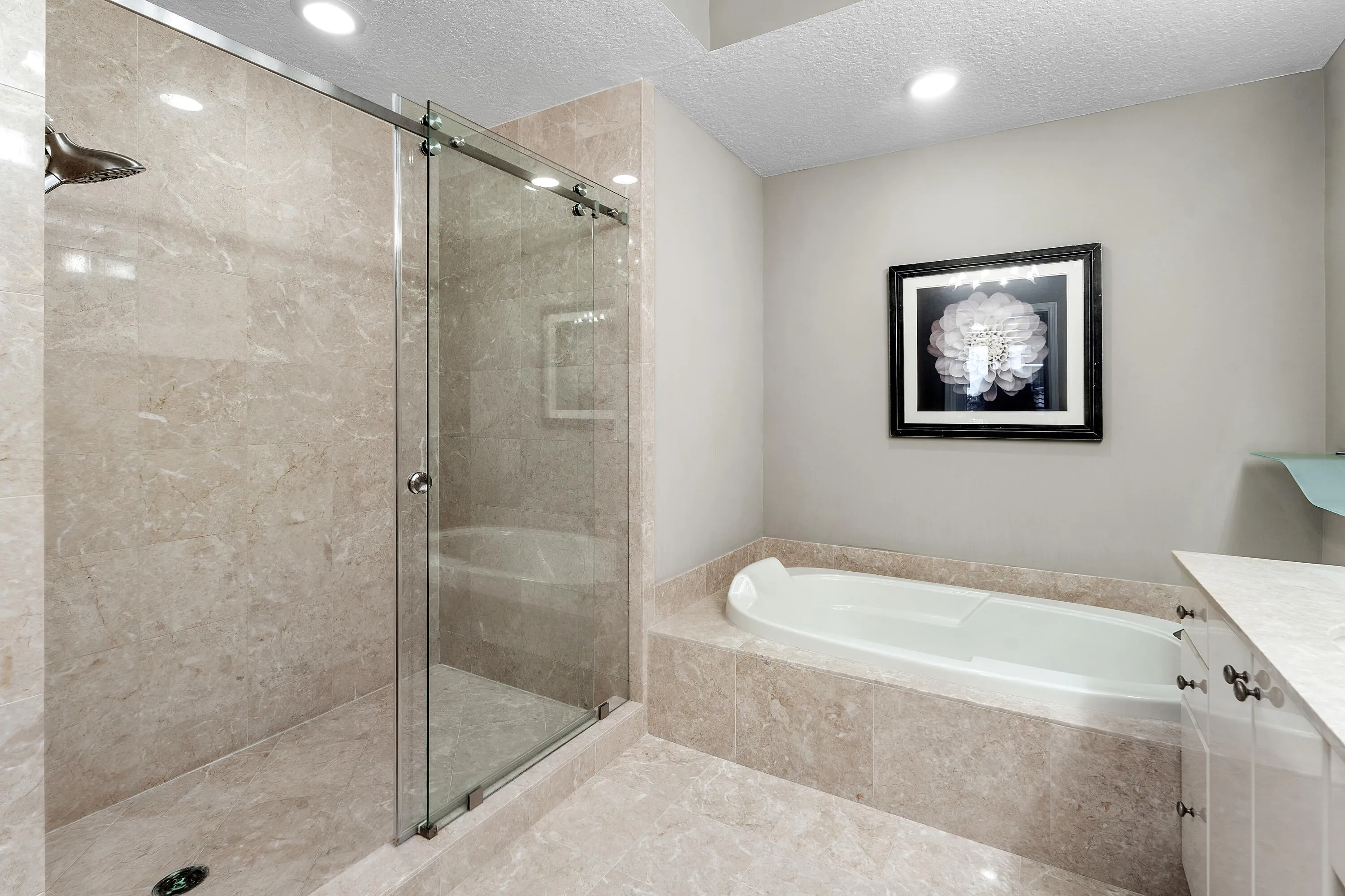 Frameless Glass Shower & Separate Tub