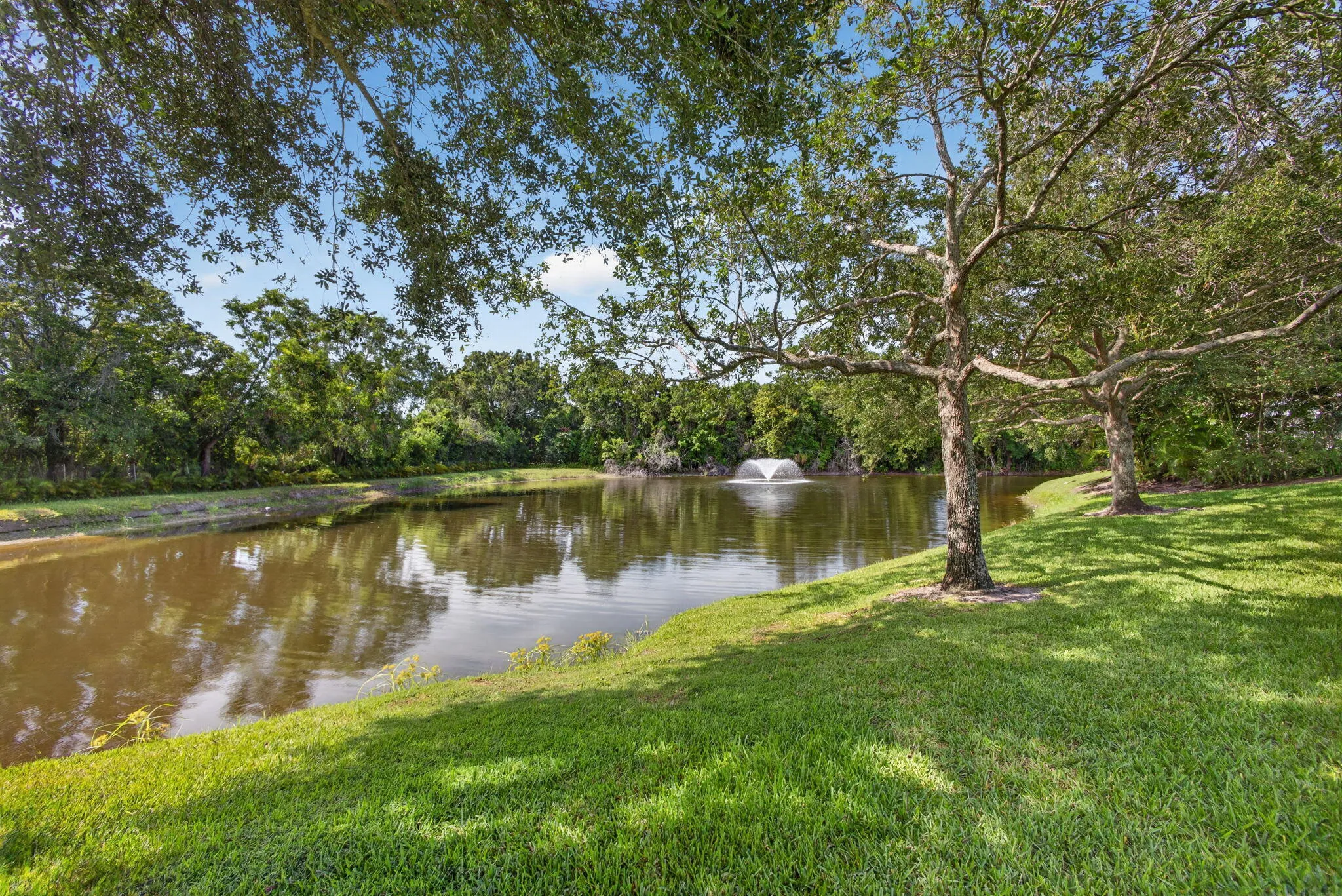 58-web-or-mls-5D1A5576