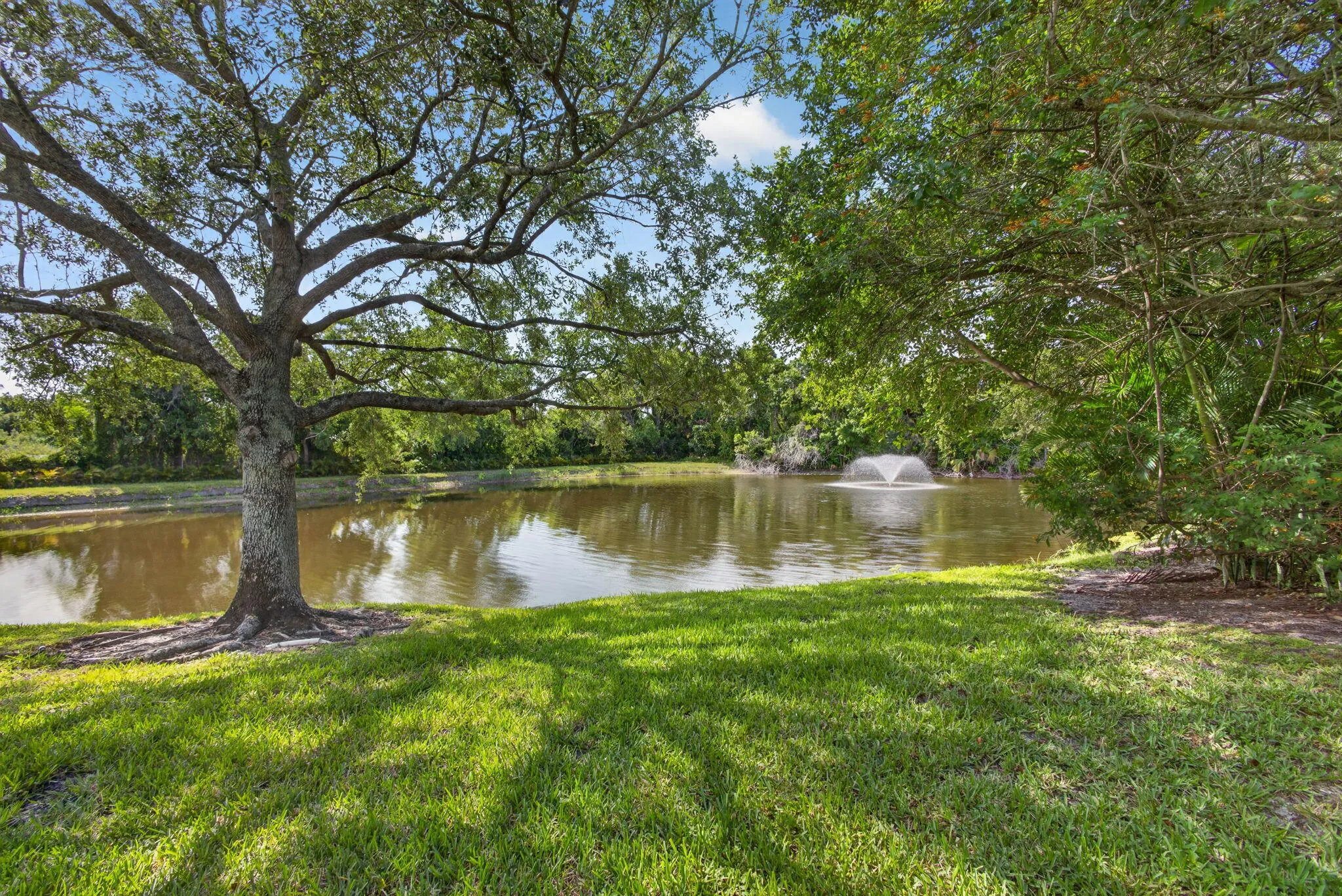 69-web-or-mls-5D1A5641