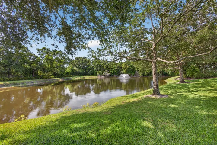 58-web-or-mls-5D1A5576