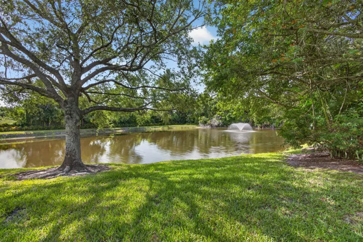 69-web-or-mls-5D1A5641