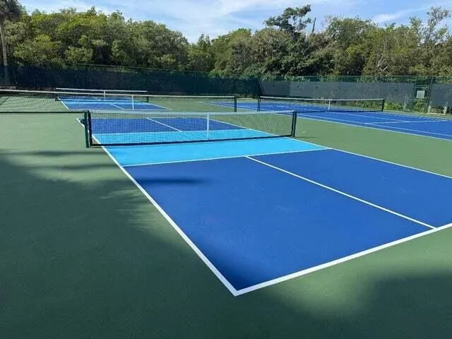 Pickle ball 2