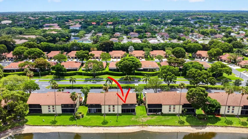 aerial of back