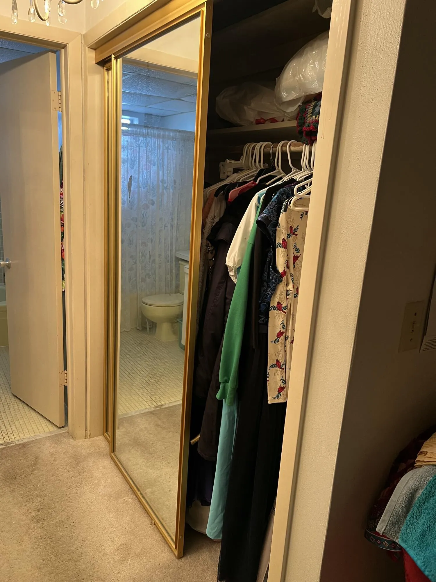 WALKING CLOSET MASTER_1140
