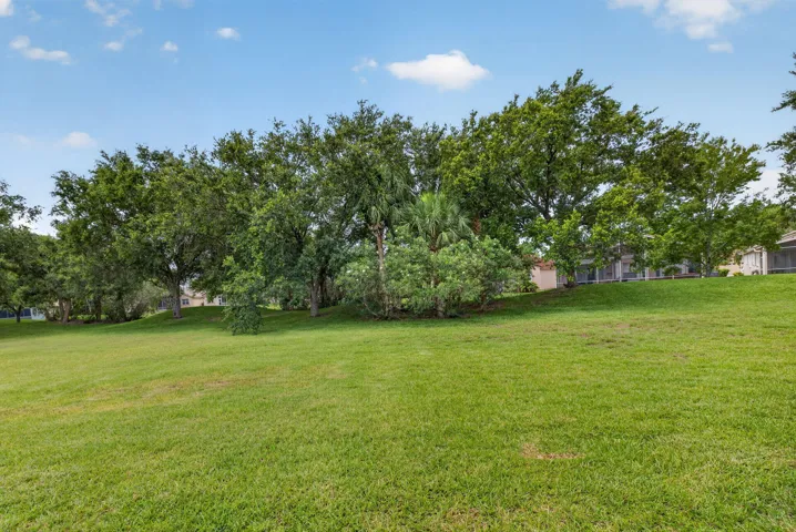 37-web-or-mls-3A5A8551