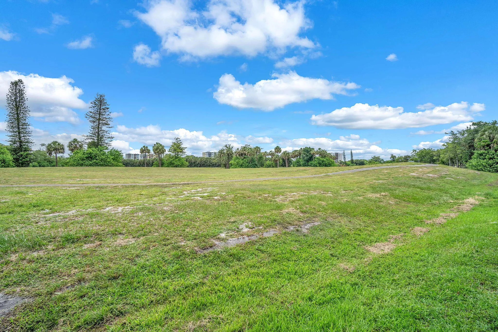 24-web-or-mls-DSC06244