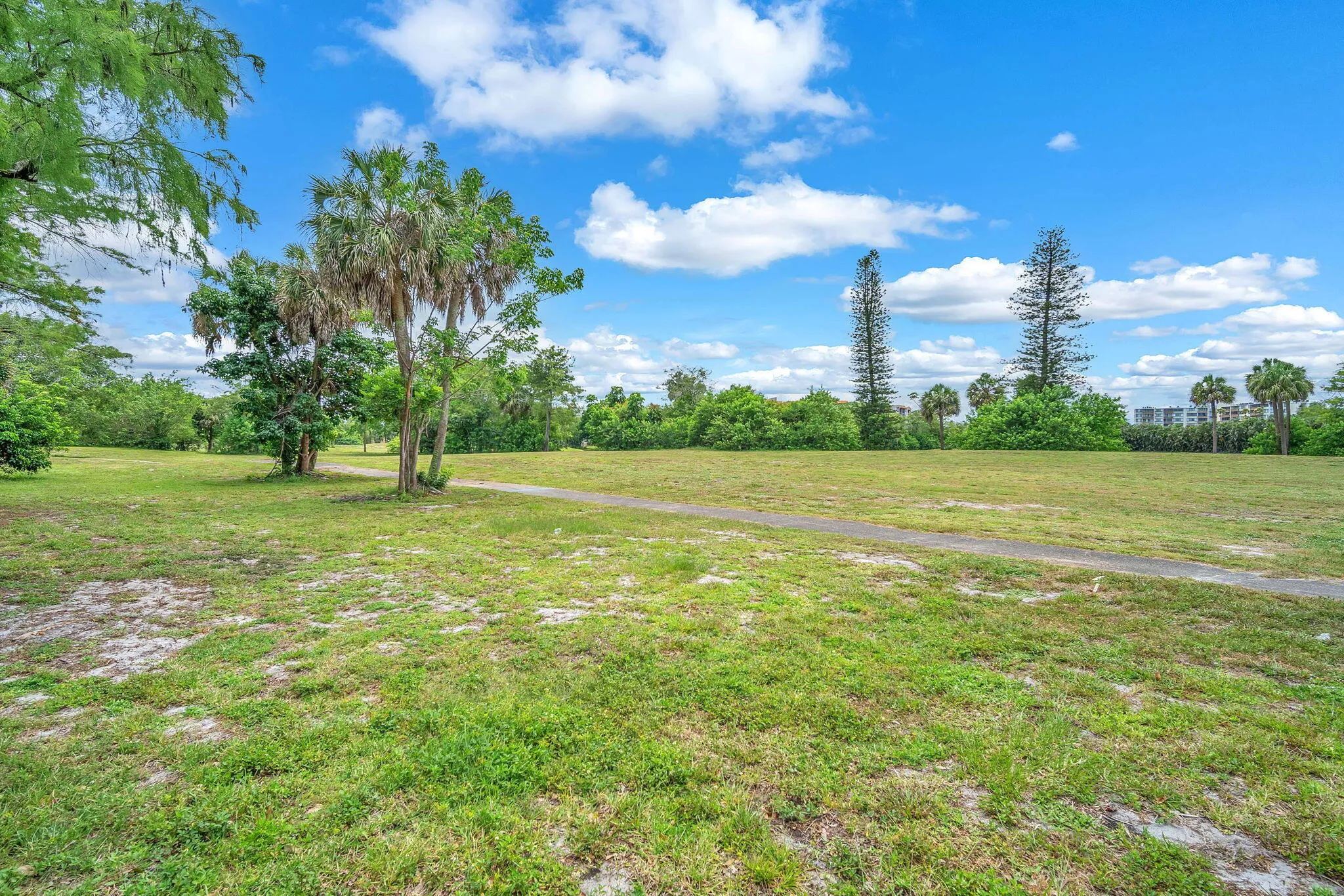 25-web-or-mls-DSC06245