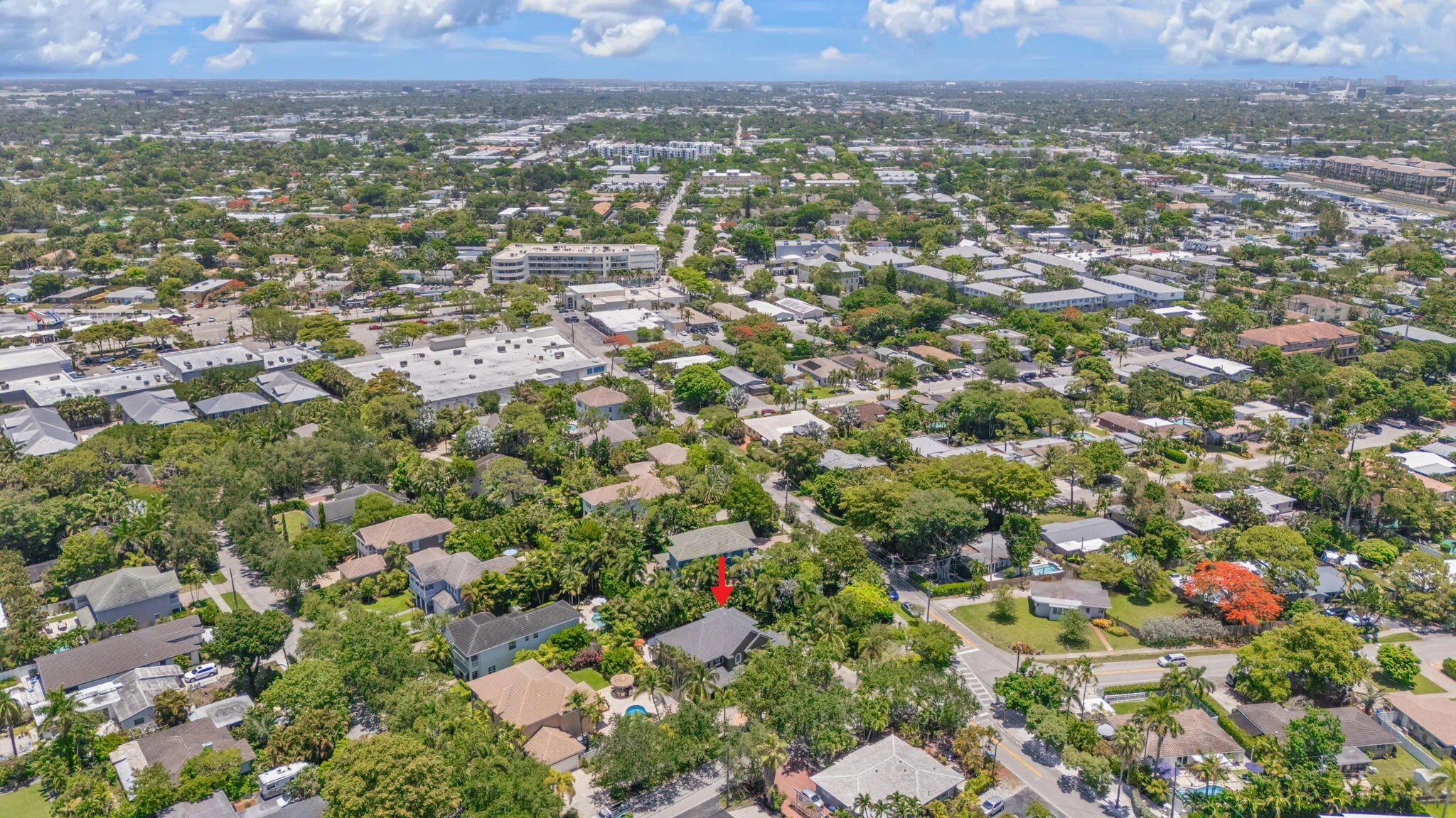 71-web-or-mls-633 NE 20th St, Wilton Man
