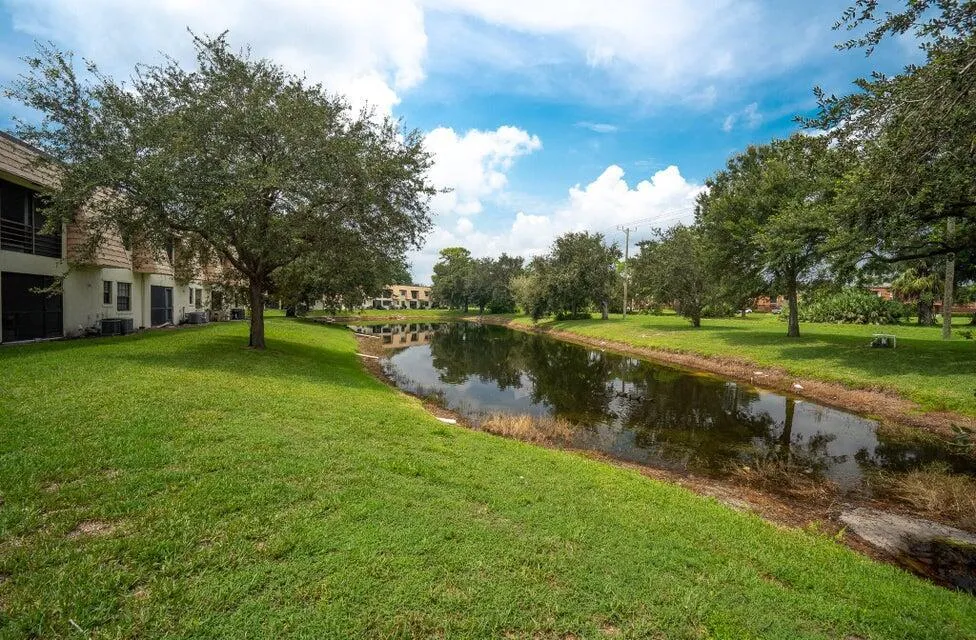 Lake view