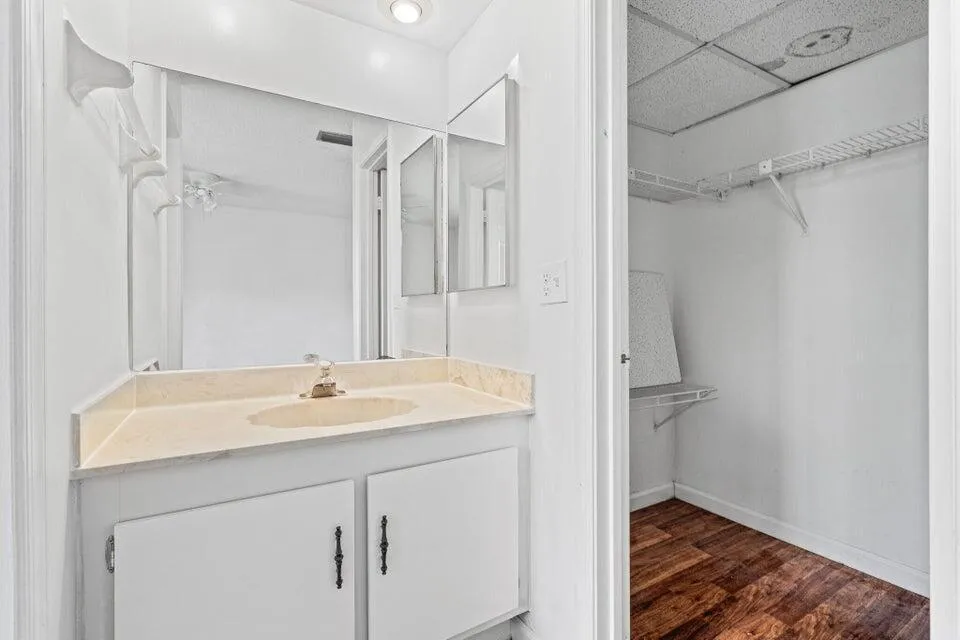 Master vanity closet