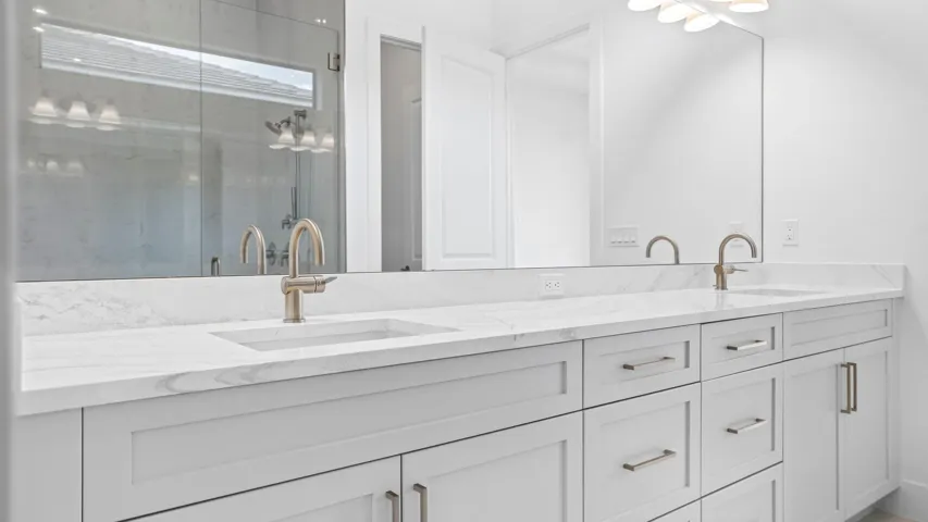Owner's Bath