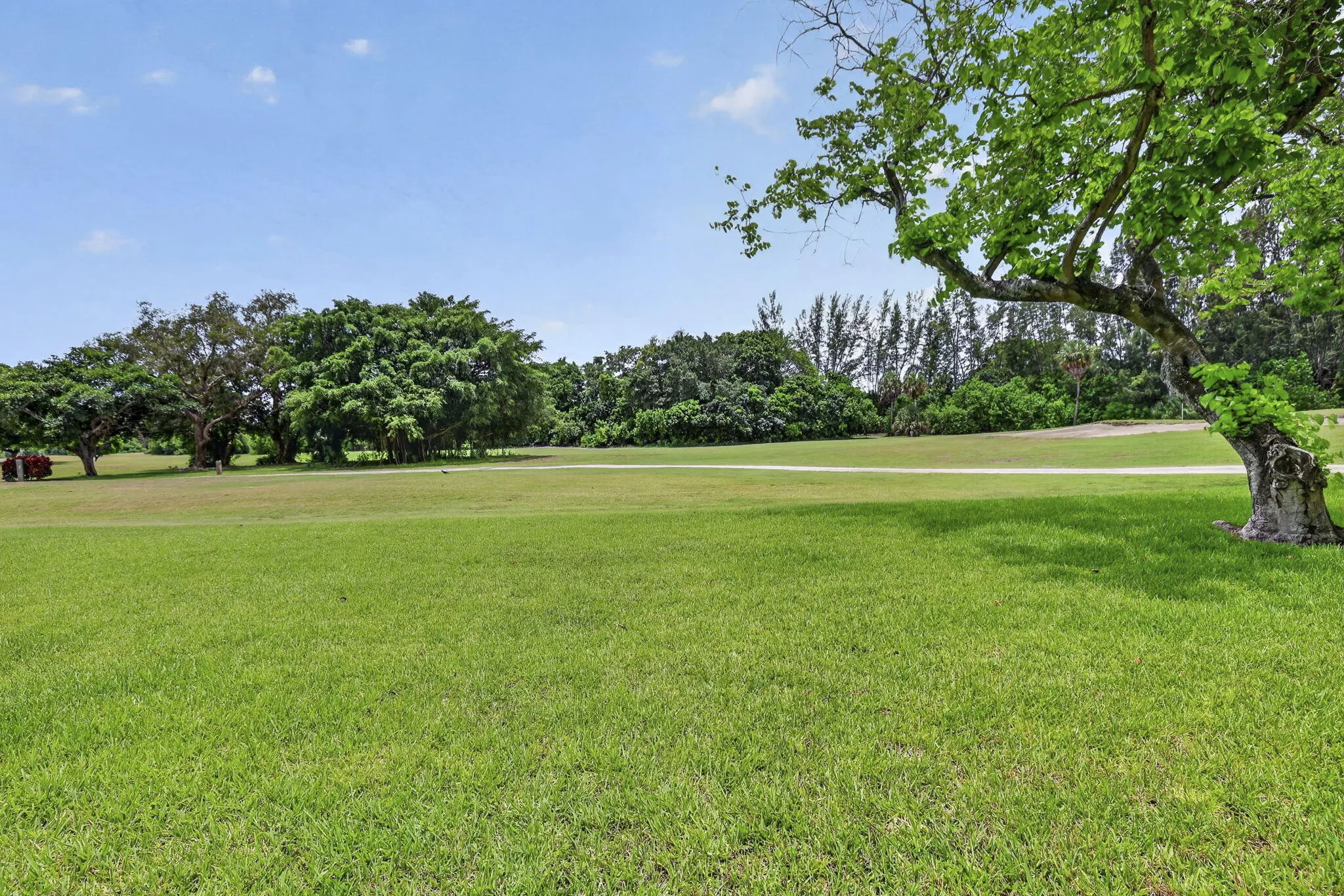 29-web-or-mls-8I8A2257