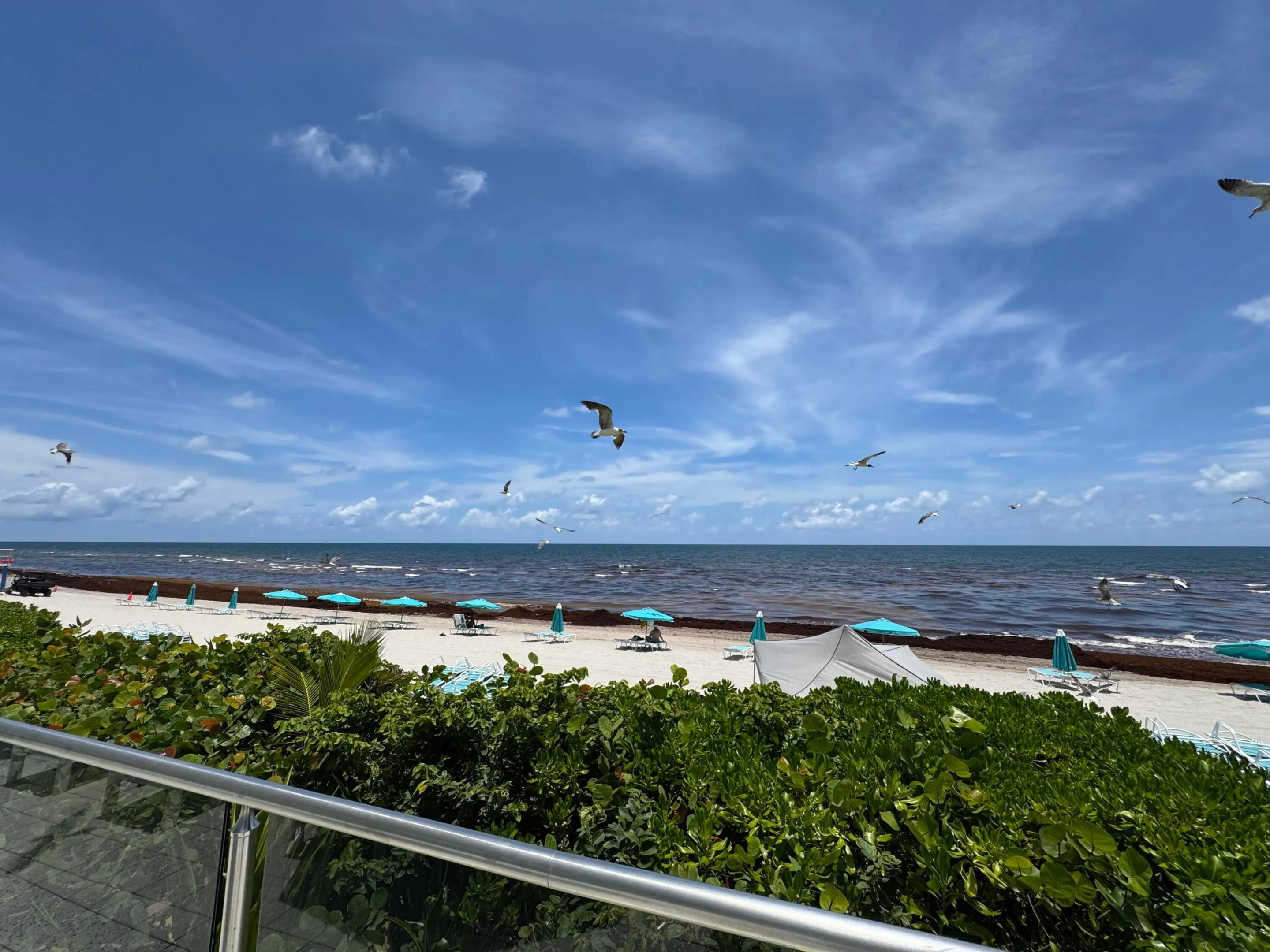 Ocean Front