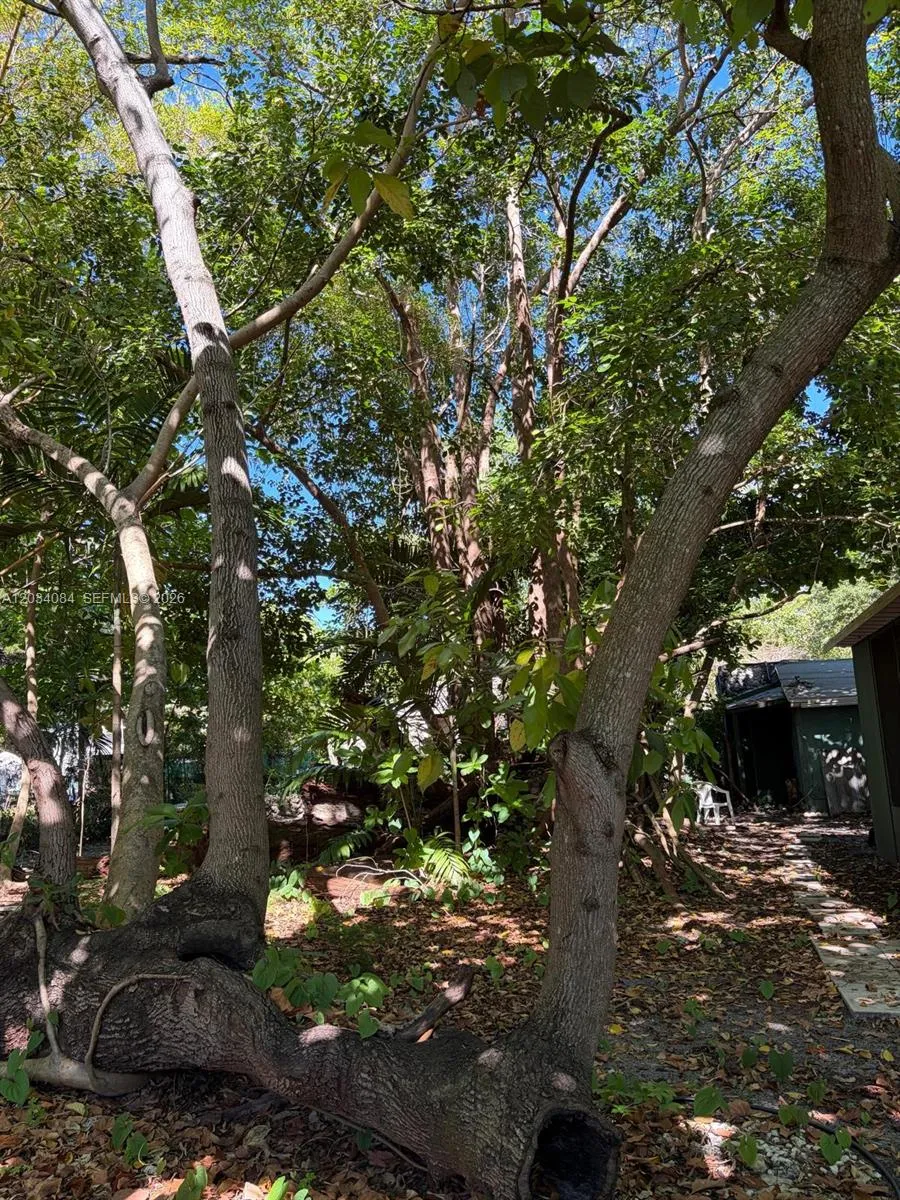 Property photo 48