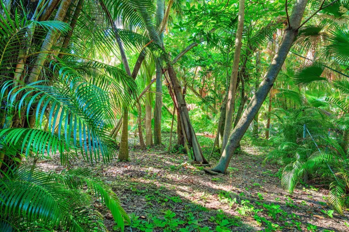 032-16VíaLago-BoyntonBeach-FL-33435-SMAL