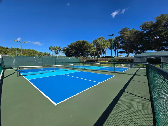 Pickleball Court