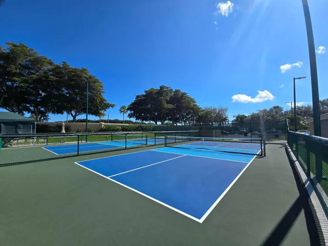 Pickleball Court