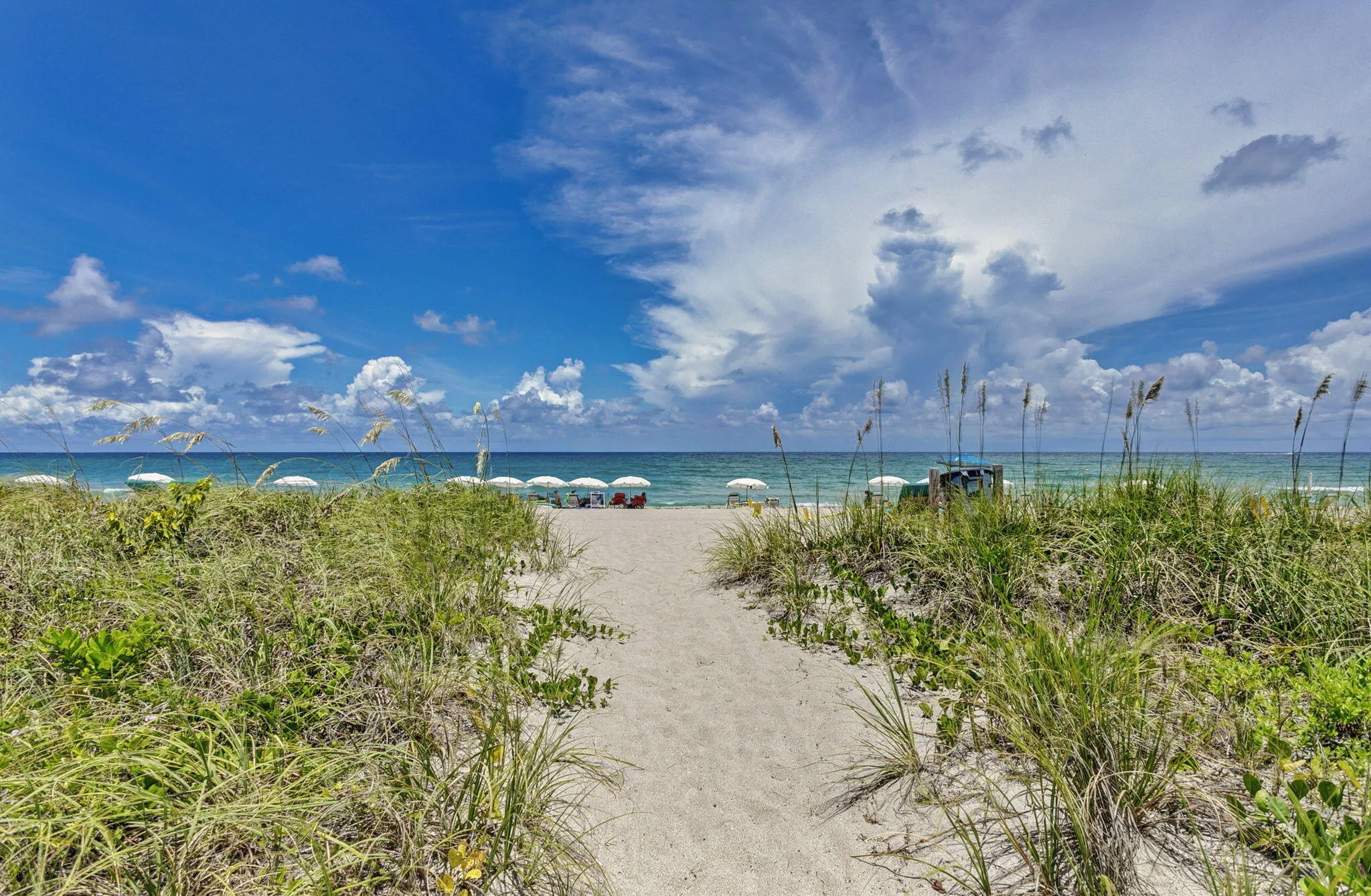 76-web-or-mls-73-print-91_320a4368