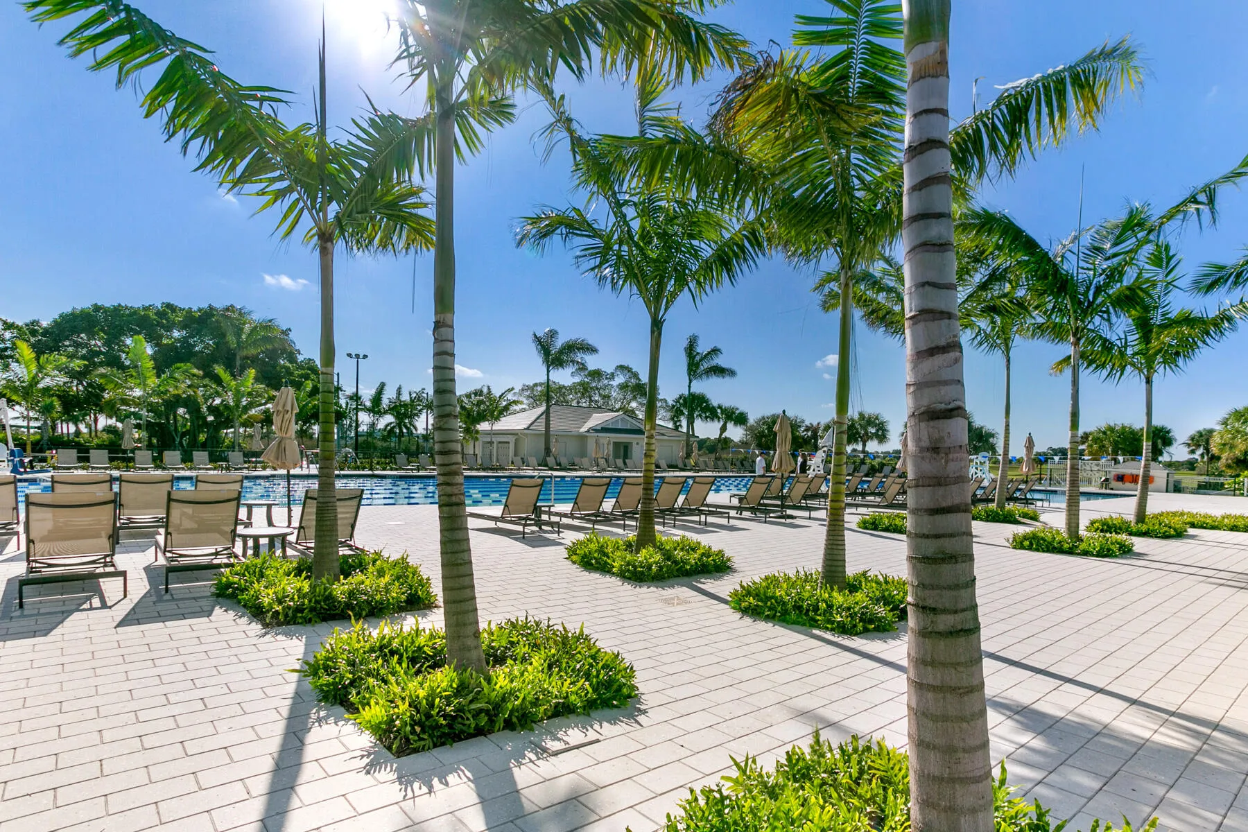 Pool Deck