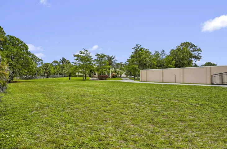 More green open space for paddock