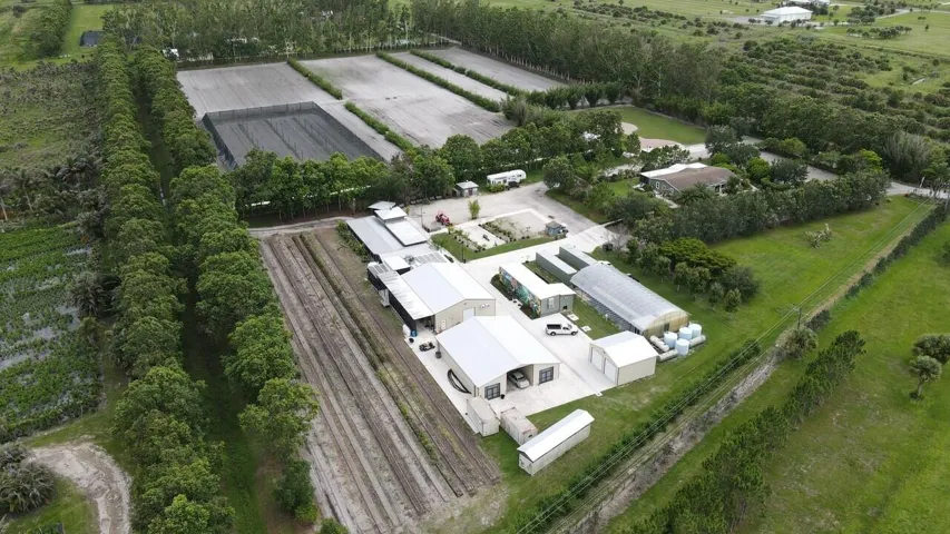 Aerial 3