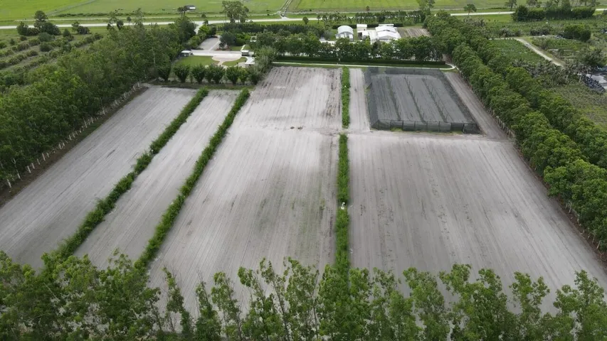 Aerial 12