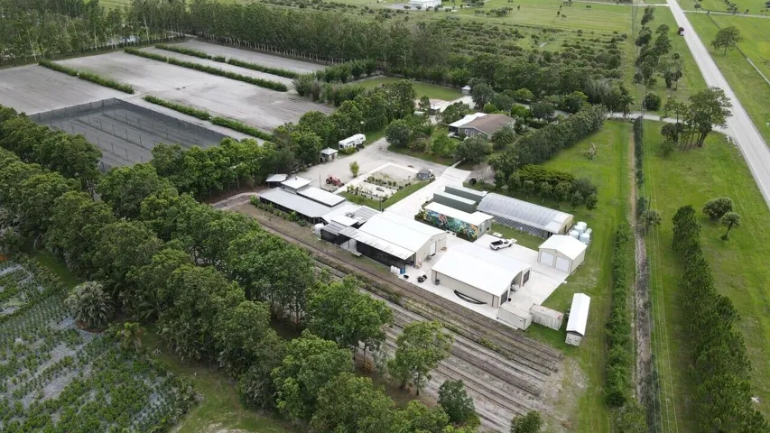 Aerial 4