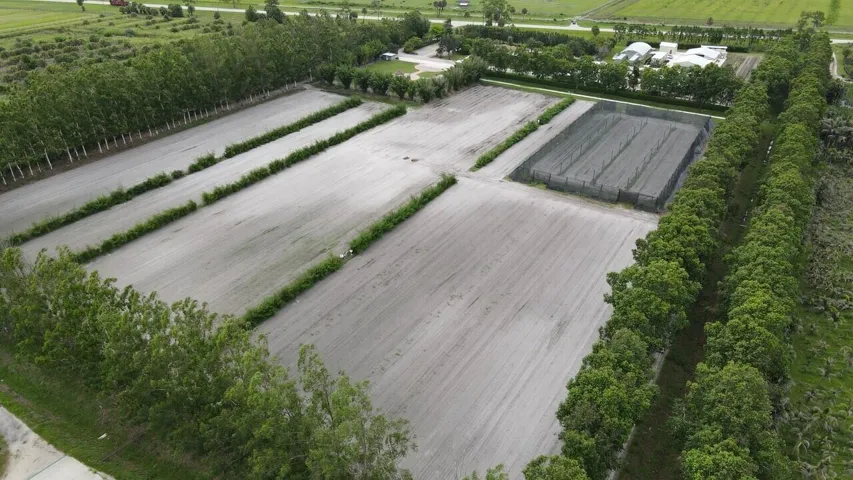 Aerial 10