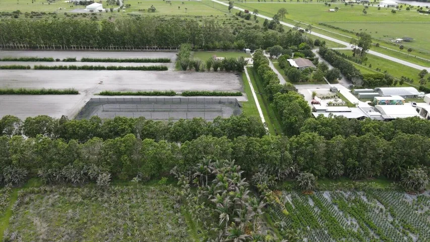 Aerial 7