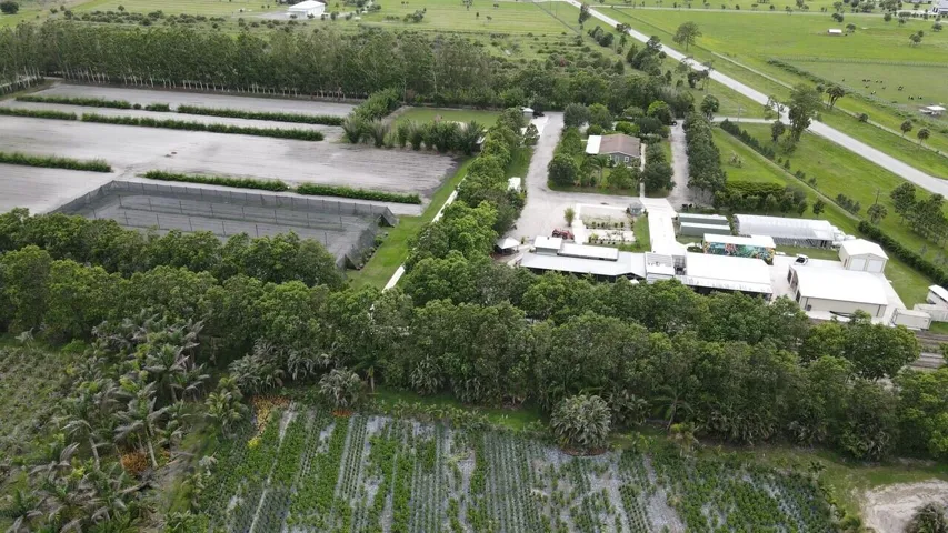 Aerial 6