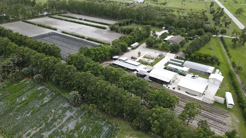 Aerial 5