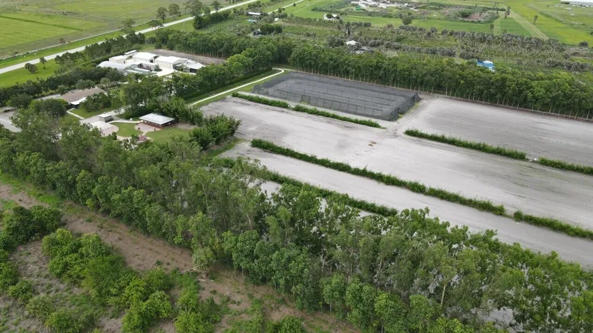 Aerial 16