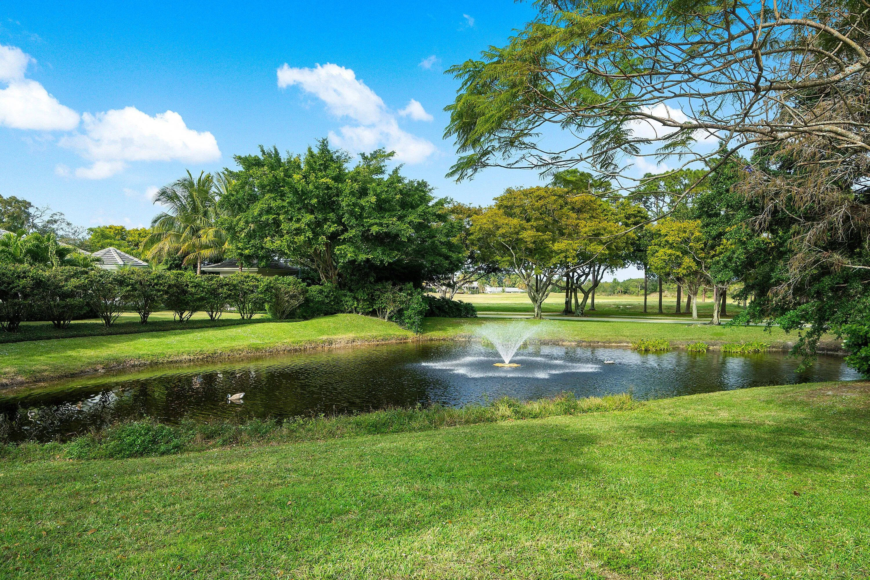 Pond views