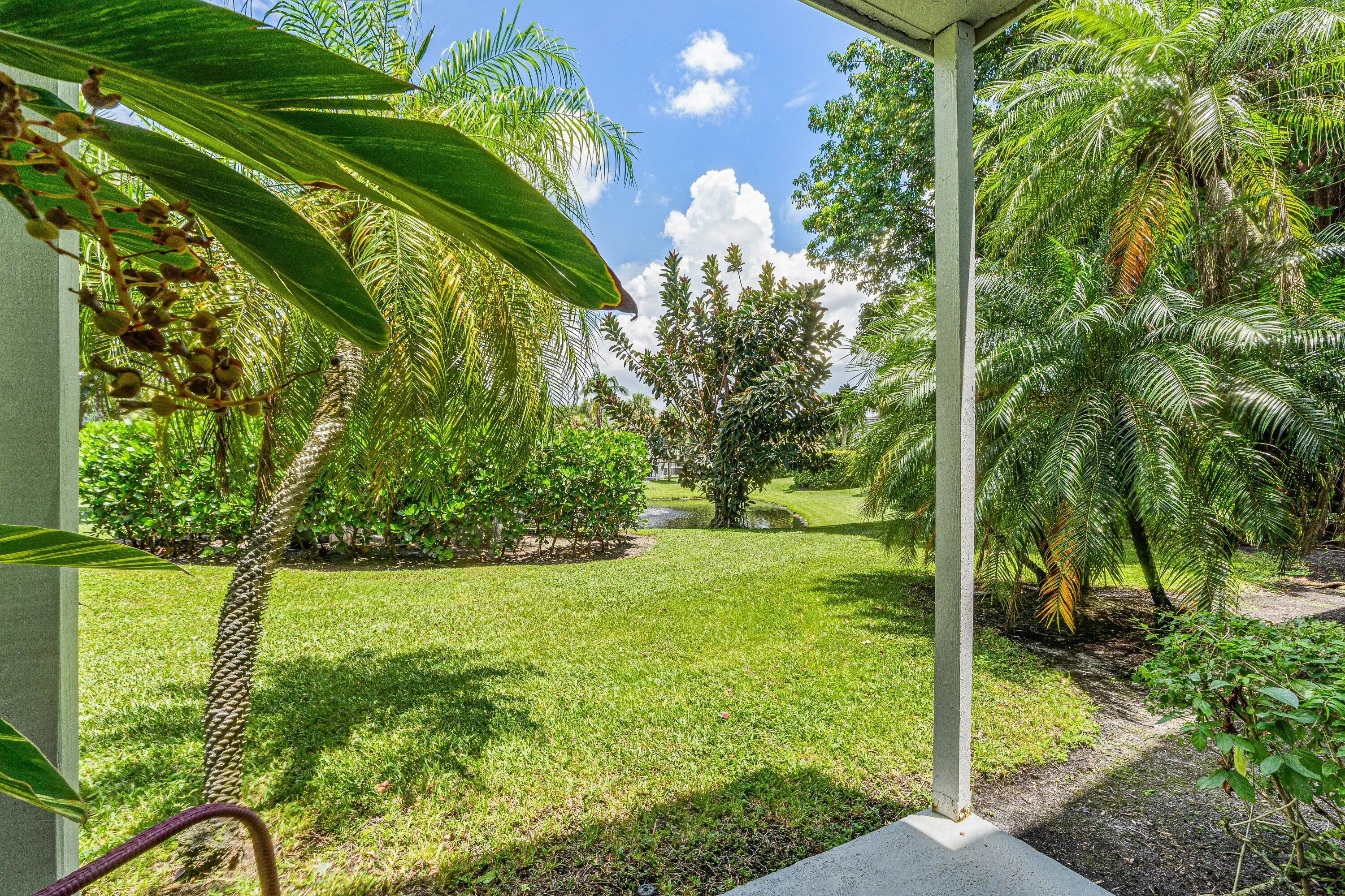 Pond views from patio