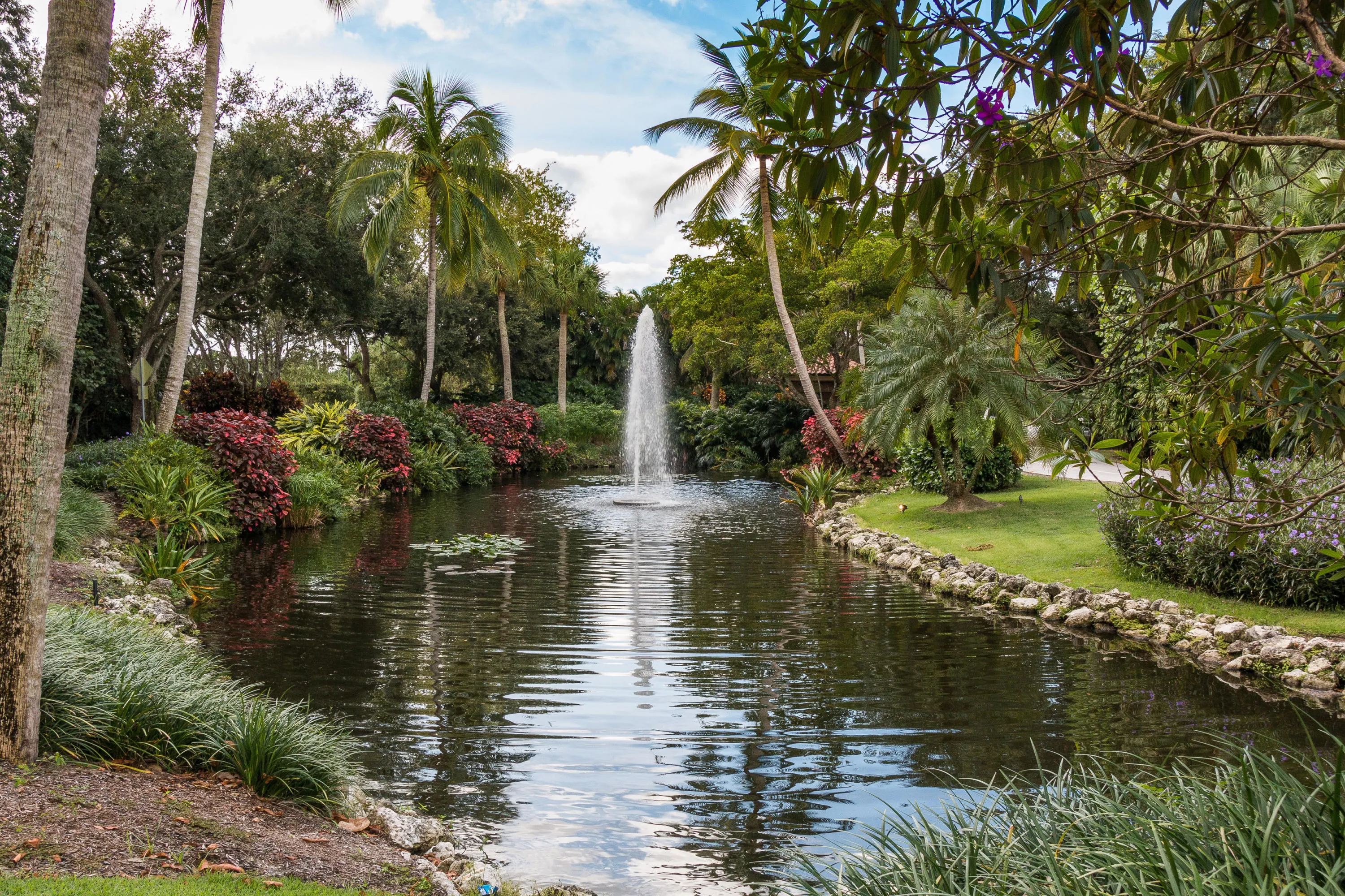Pond view