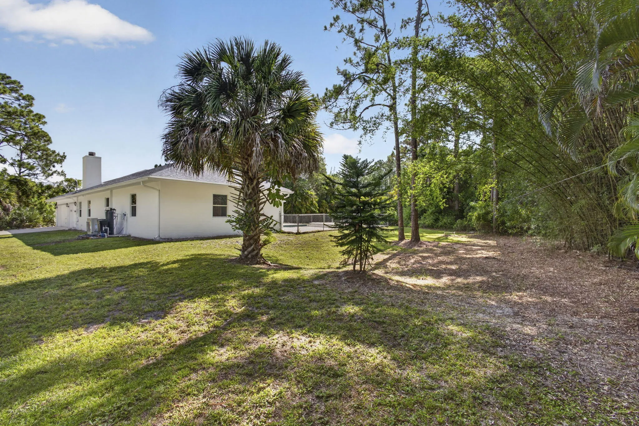 57-web-or-mls-BS1A8731