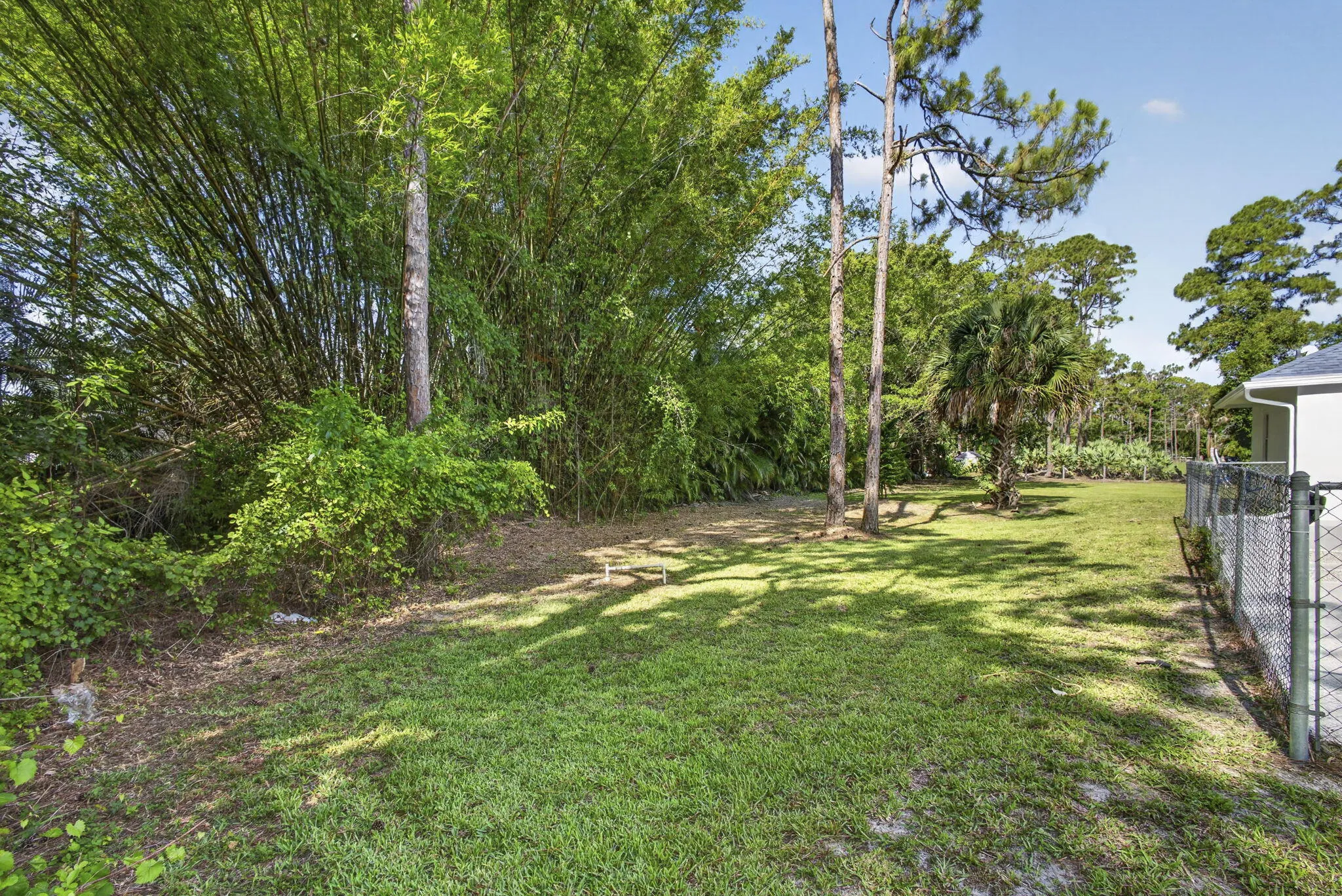55-web-or-mls-BS1A8721