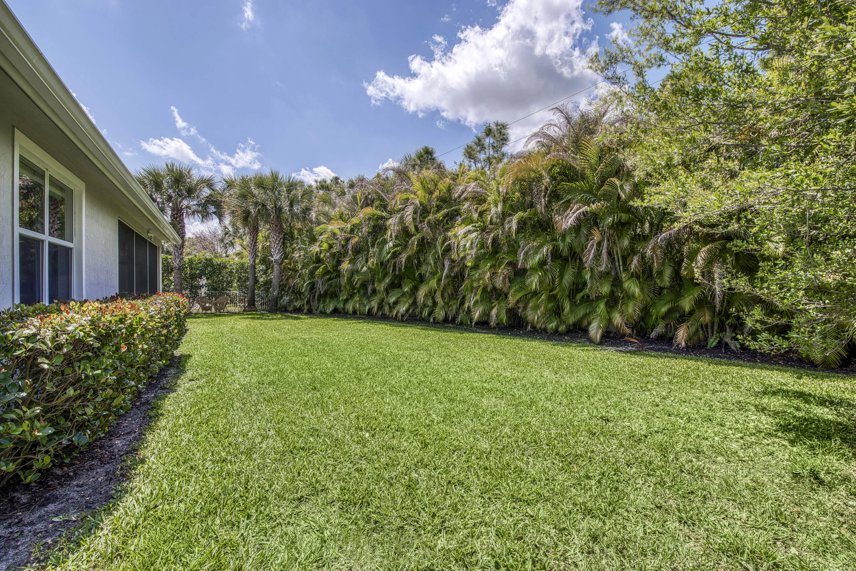 Large Backyard