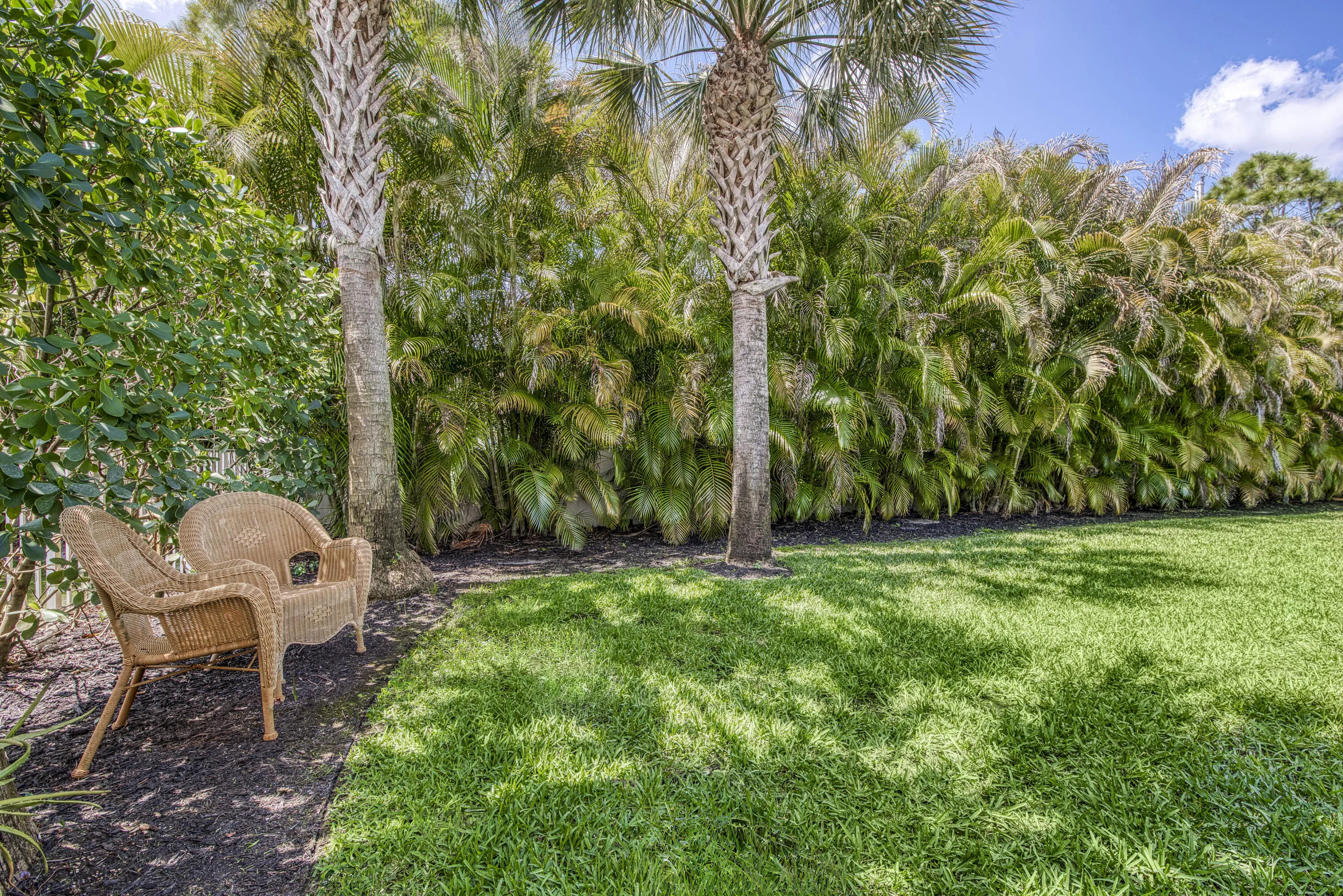 Large Backyard