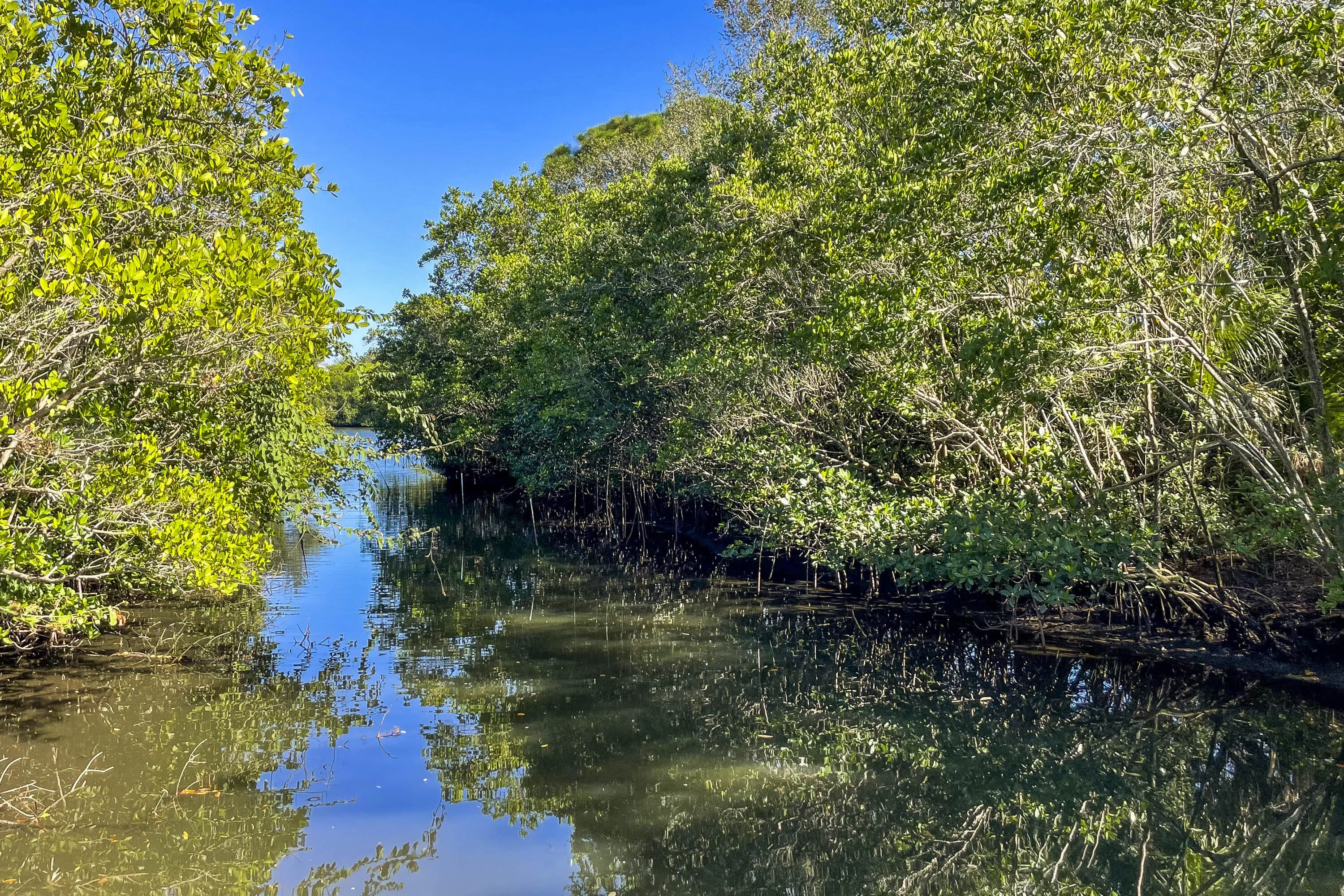 Canal