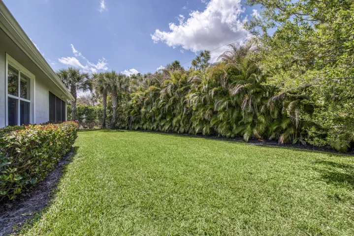 Large Backyard
