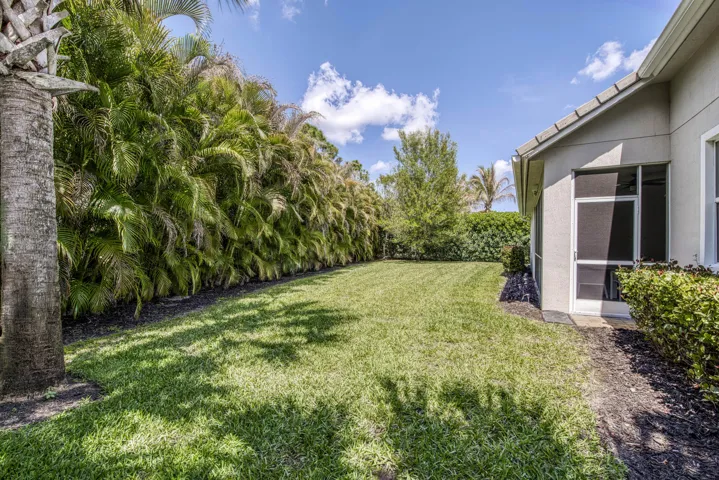 Large Backyard