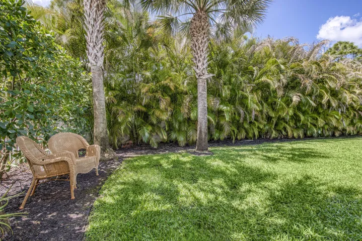 Large Backyard